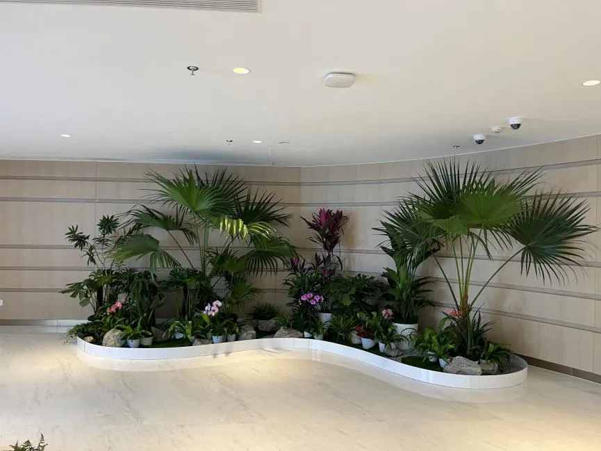 惊艳！前湾植物租摆设计，点亮别样生活